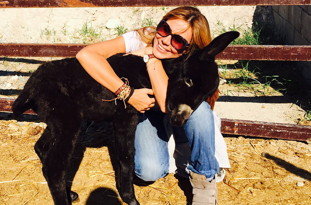  Farma Zlatnih Magaraca na Kipru 